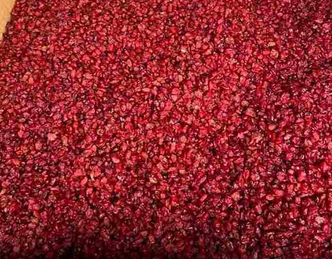 تصویر 1 از زرشک تالاری مناسب نگهداری و خشک شدن اصولی